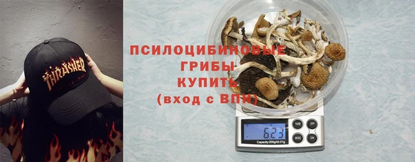 PSILOCYBIN Арсеньев