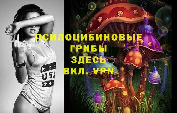 PSILOCYBIN Арсеньев
