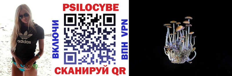 Псилоцибиновые грибы MAGIC MUSHROOMS Ветлуга