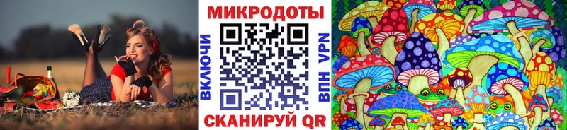 Галлюциногенные грибы Cubensis  Ветлуга 